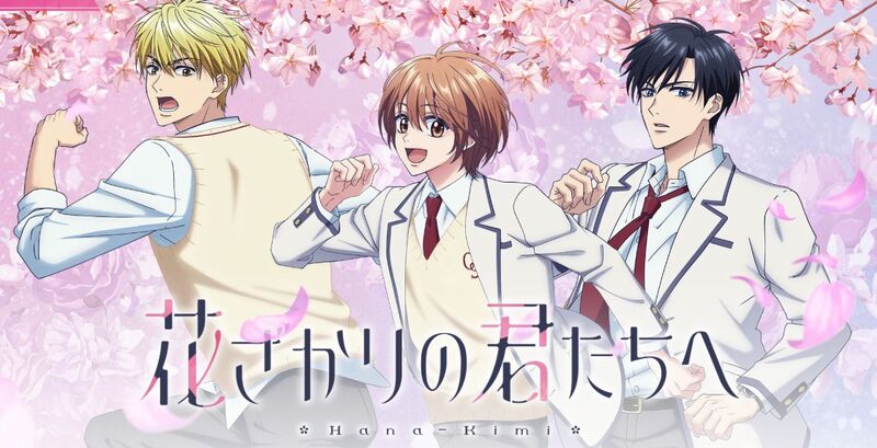 hanakimi rosa hanakimi rosa